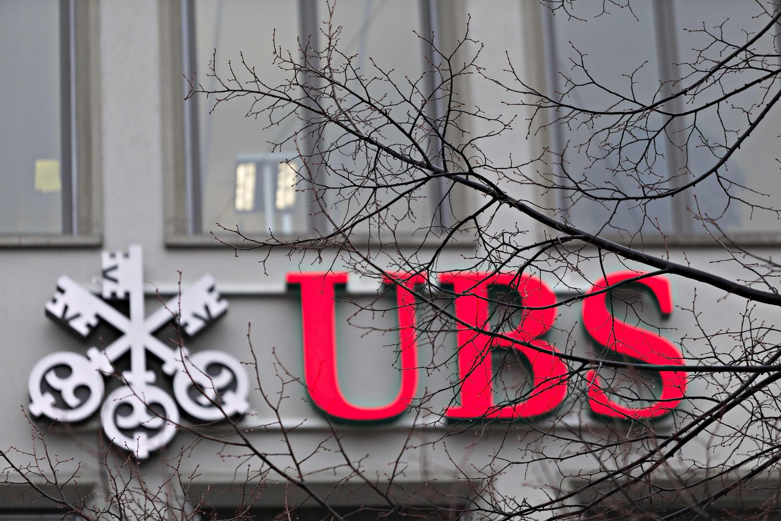 UBS panga logo.
