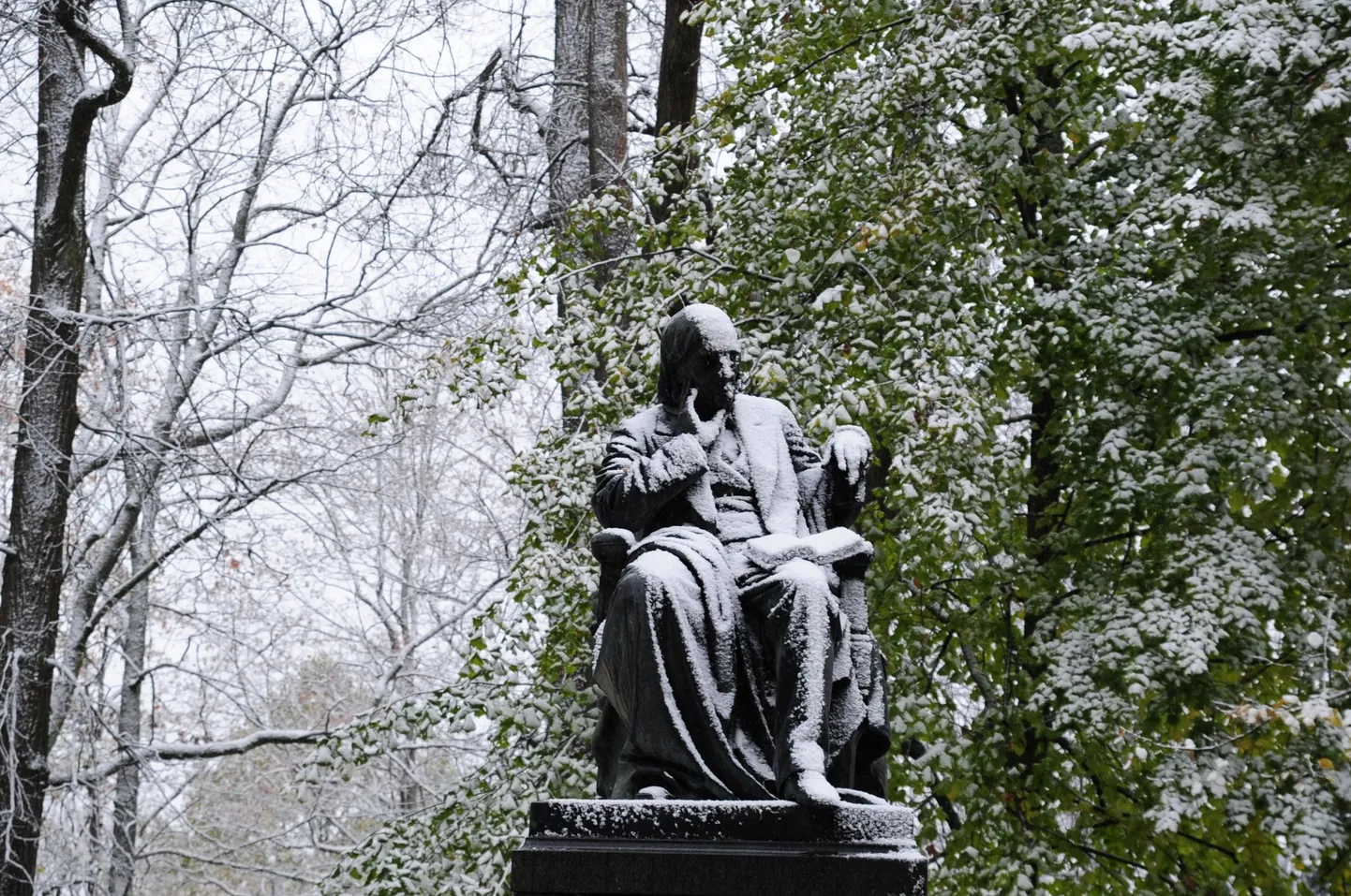 Karl Ernst von Baeri kuju Toomemäel.