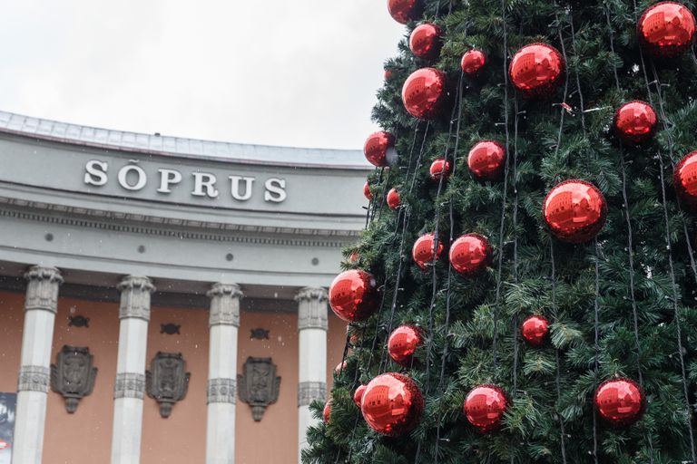 Рождественская елка в Таллинне