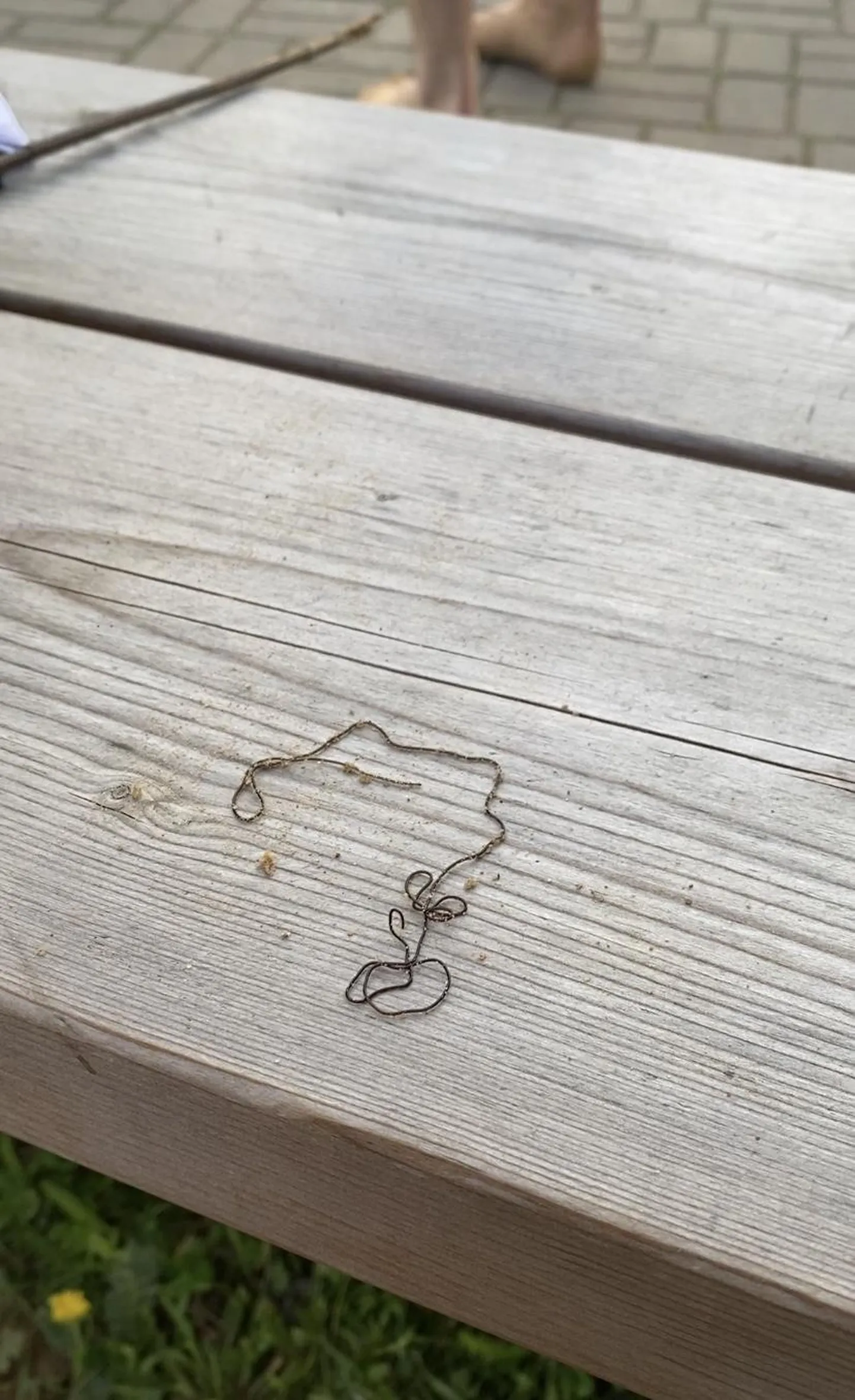Viljandi järvest leitud ja pingi peale toodud kiuduss.