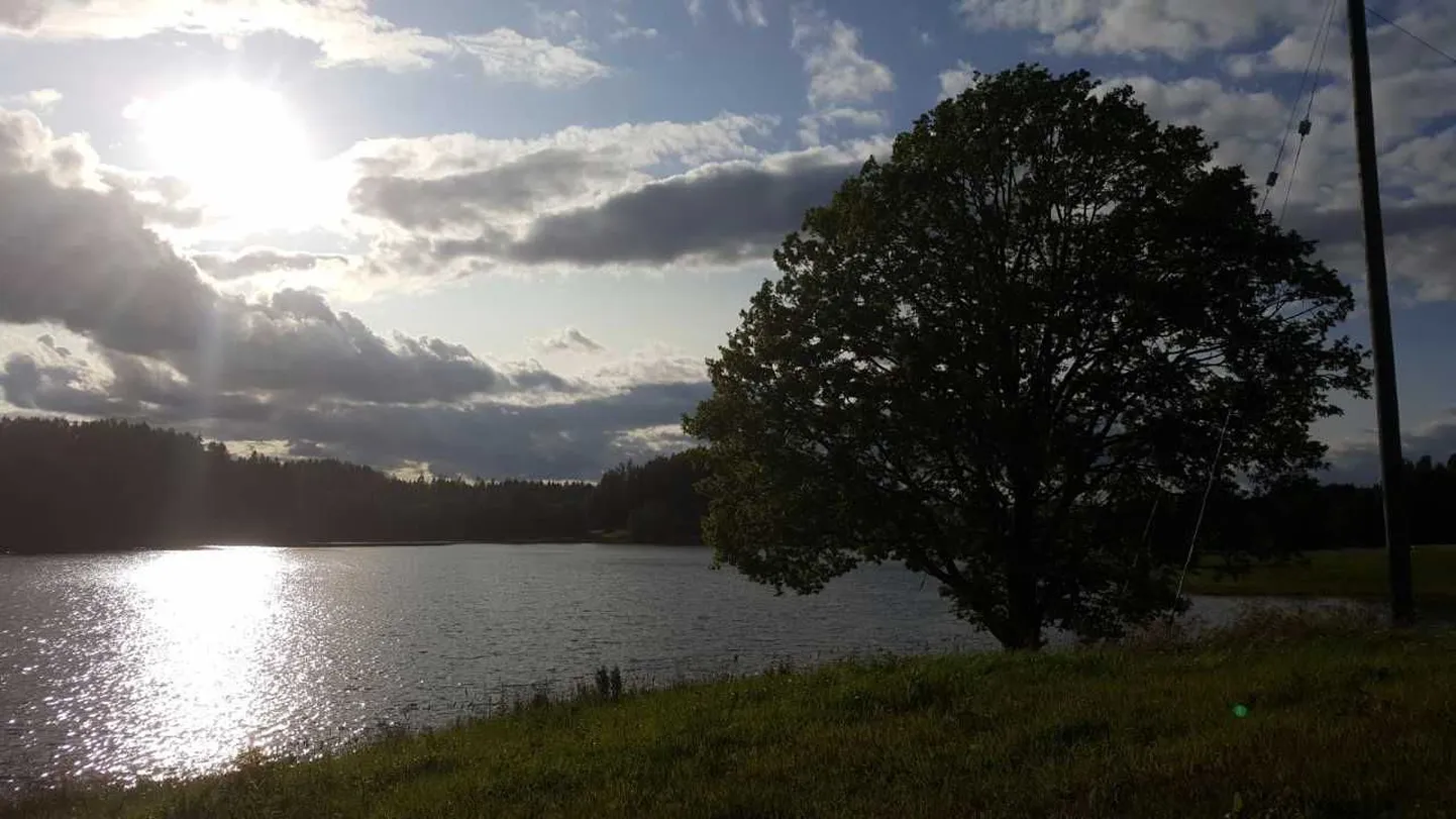 Plaani järv.