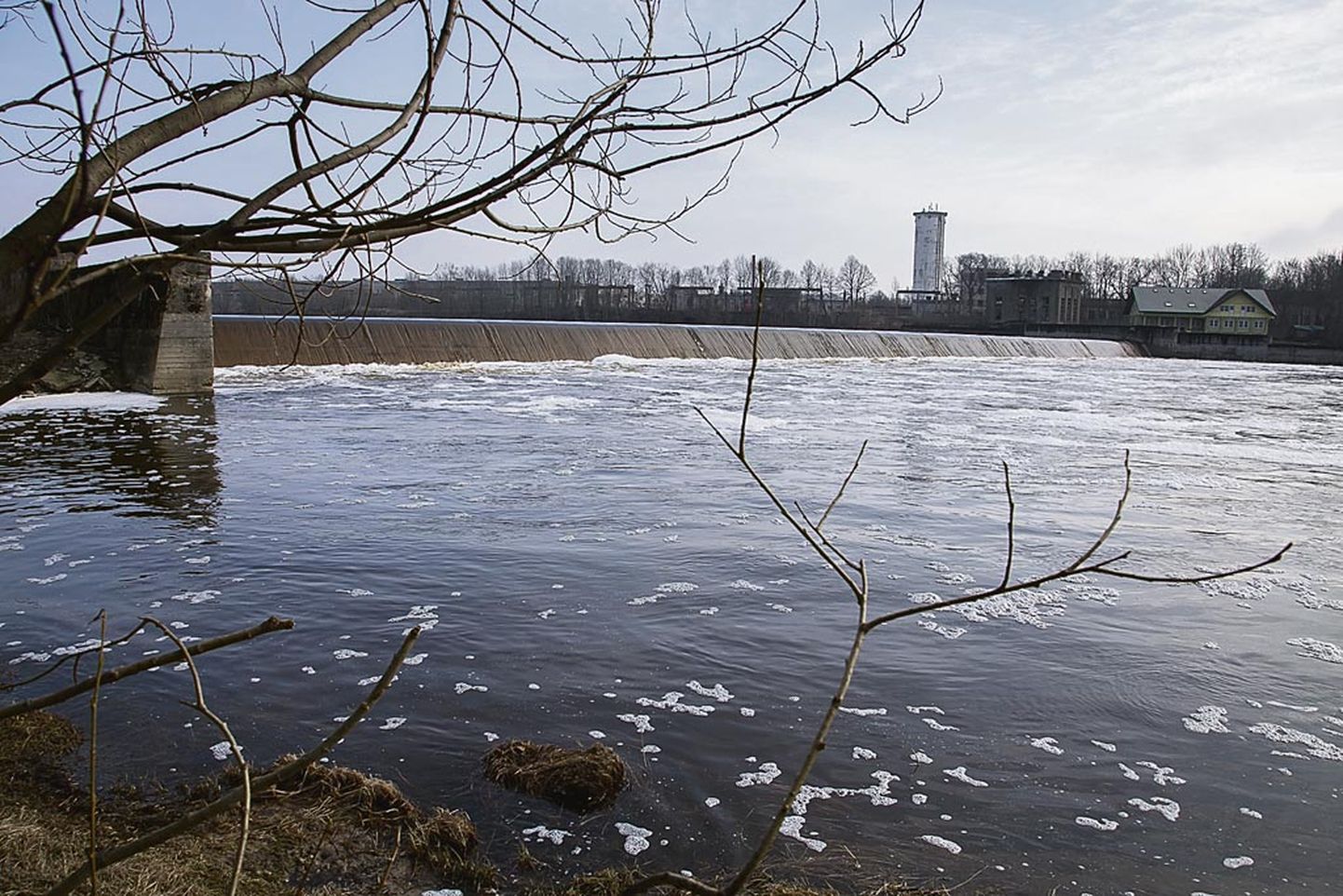 Kuni Sindi pais takistab kangekaelselt kalade vaba liikumist, ei saa rääkida Pärnu jõest kui lõhejõest.
