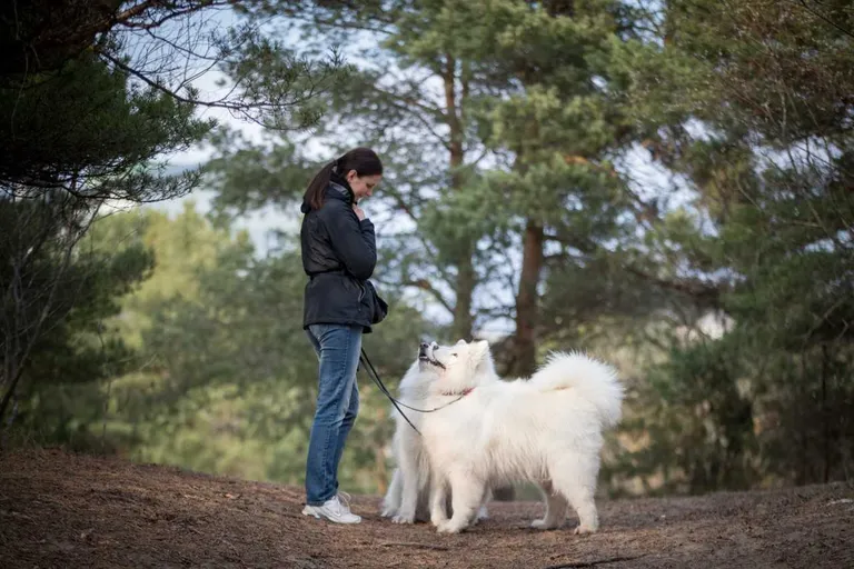 Artikli foto