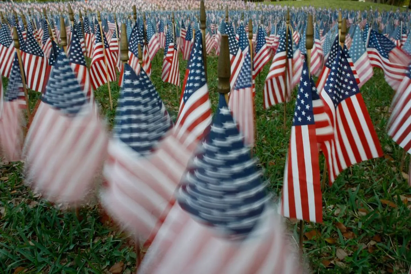 USA lipud.