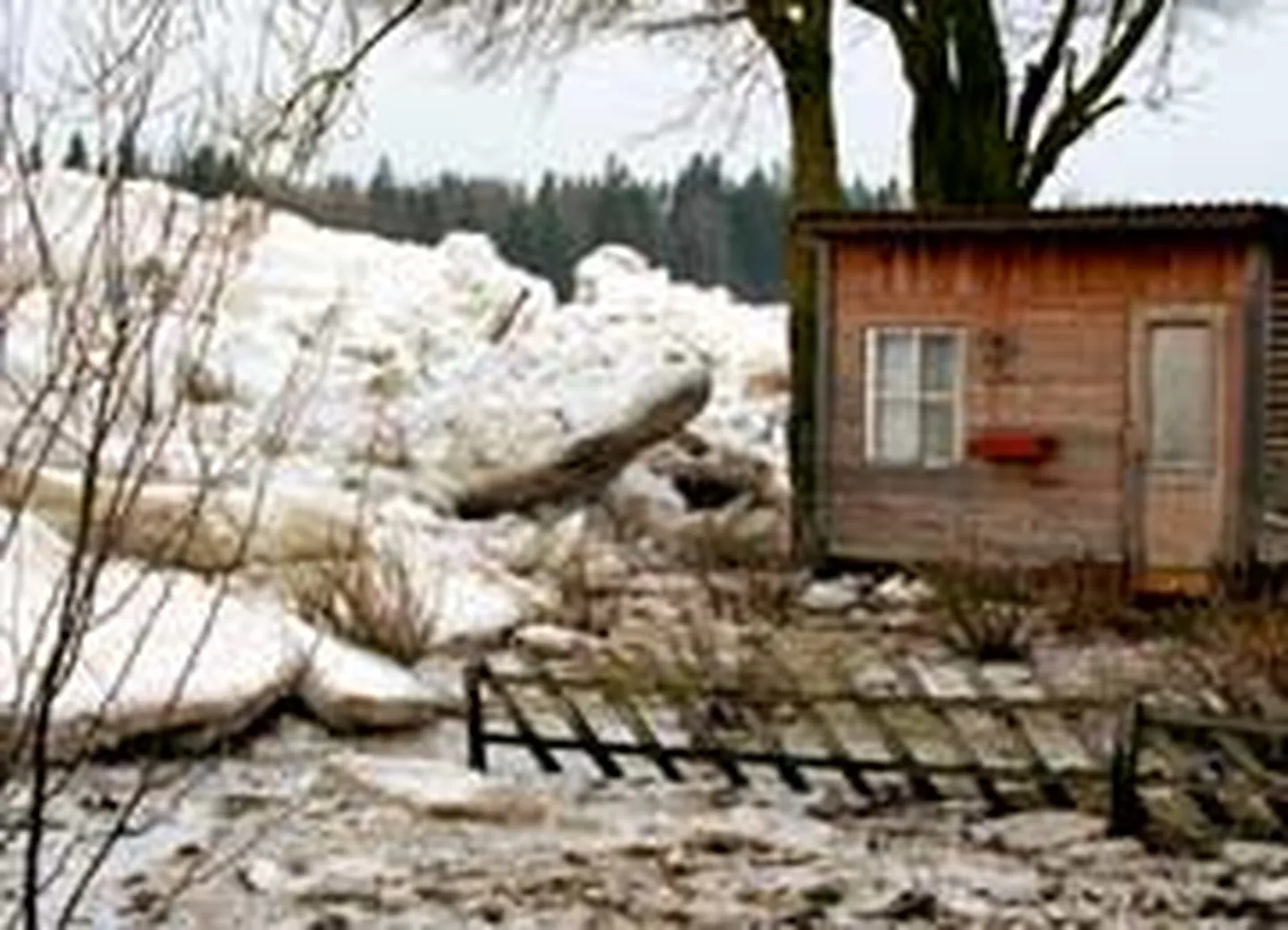 Raksta foto