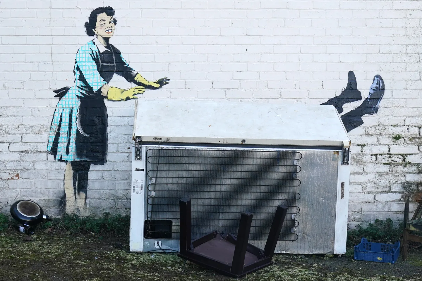 Sinise silma ja puuduva hambaga koduperenaise Banksy uuel kunstiteosel.