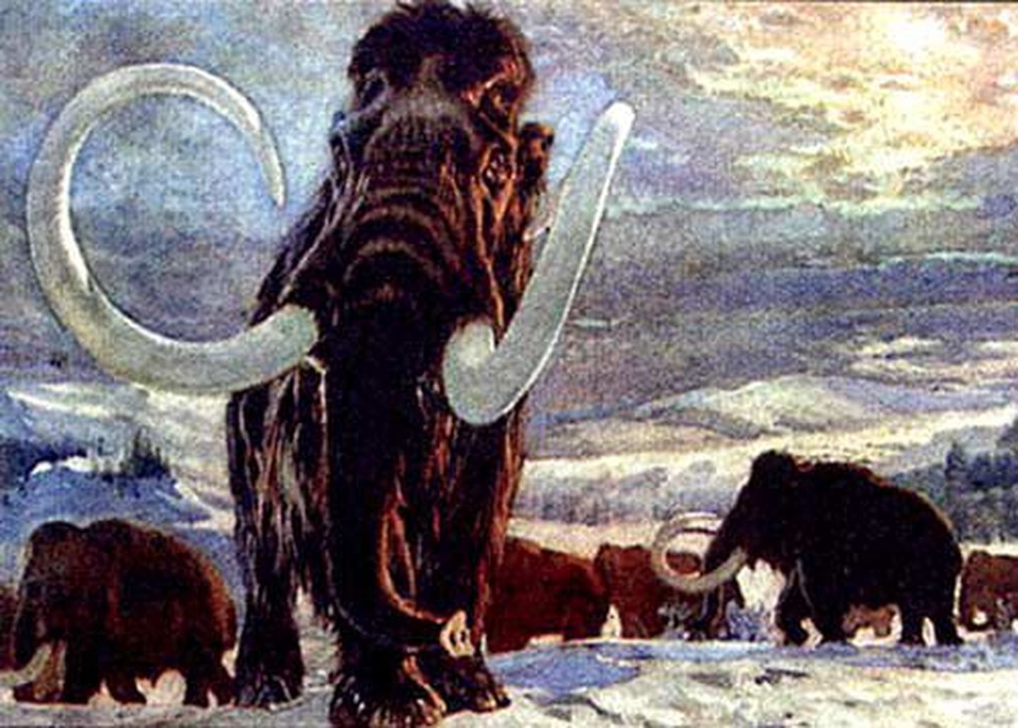 Kunstniku nägemus mammutitest