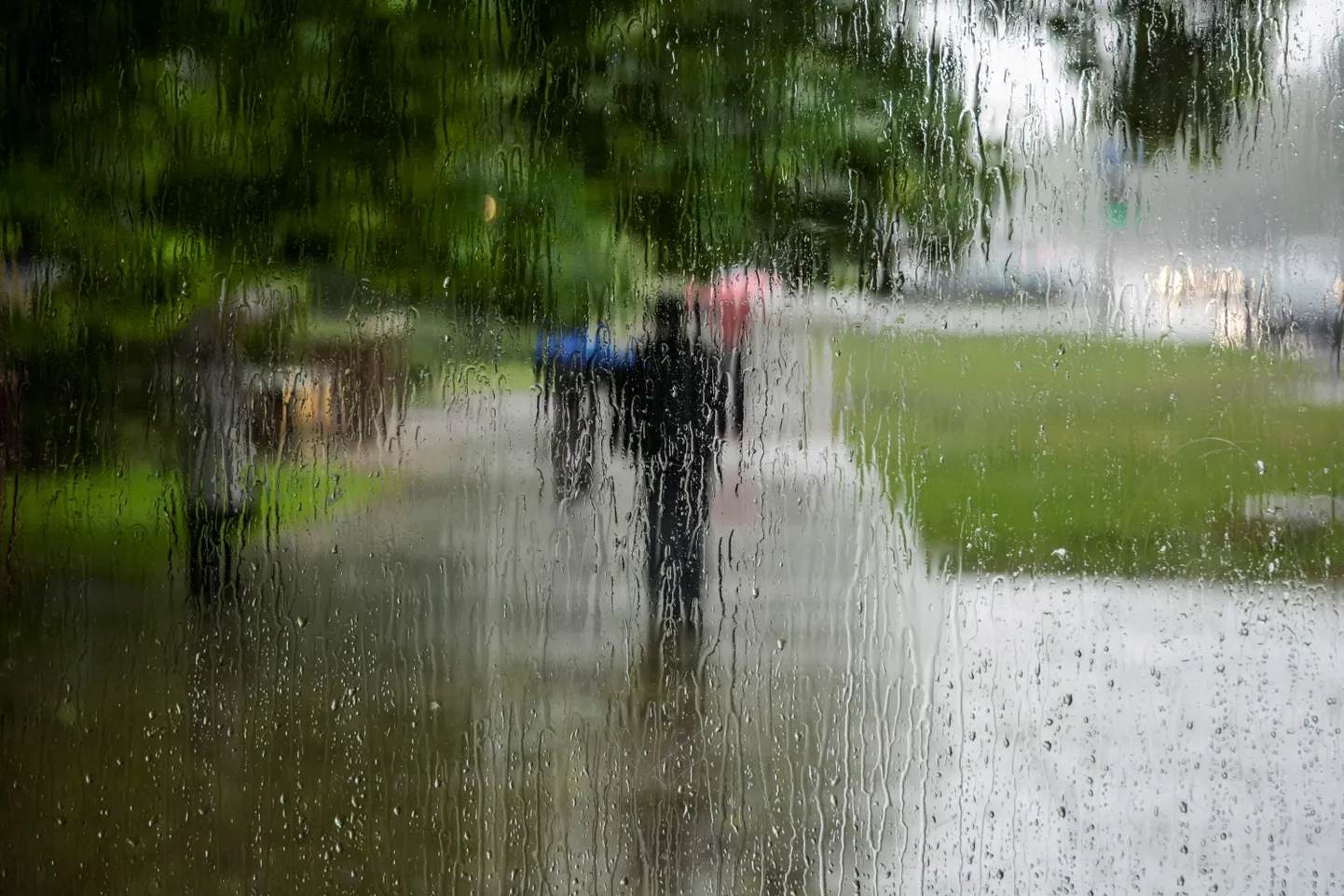 Фото статьи