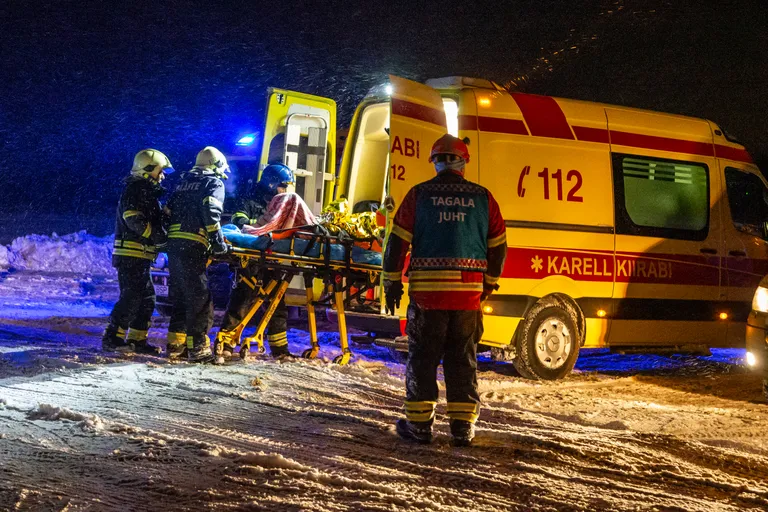 Artikli foto