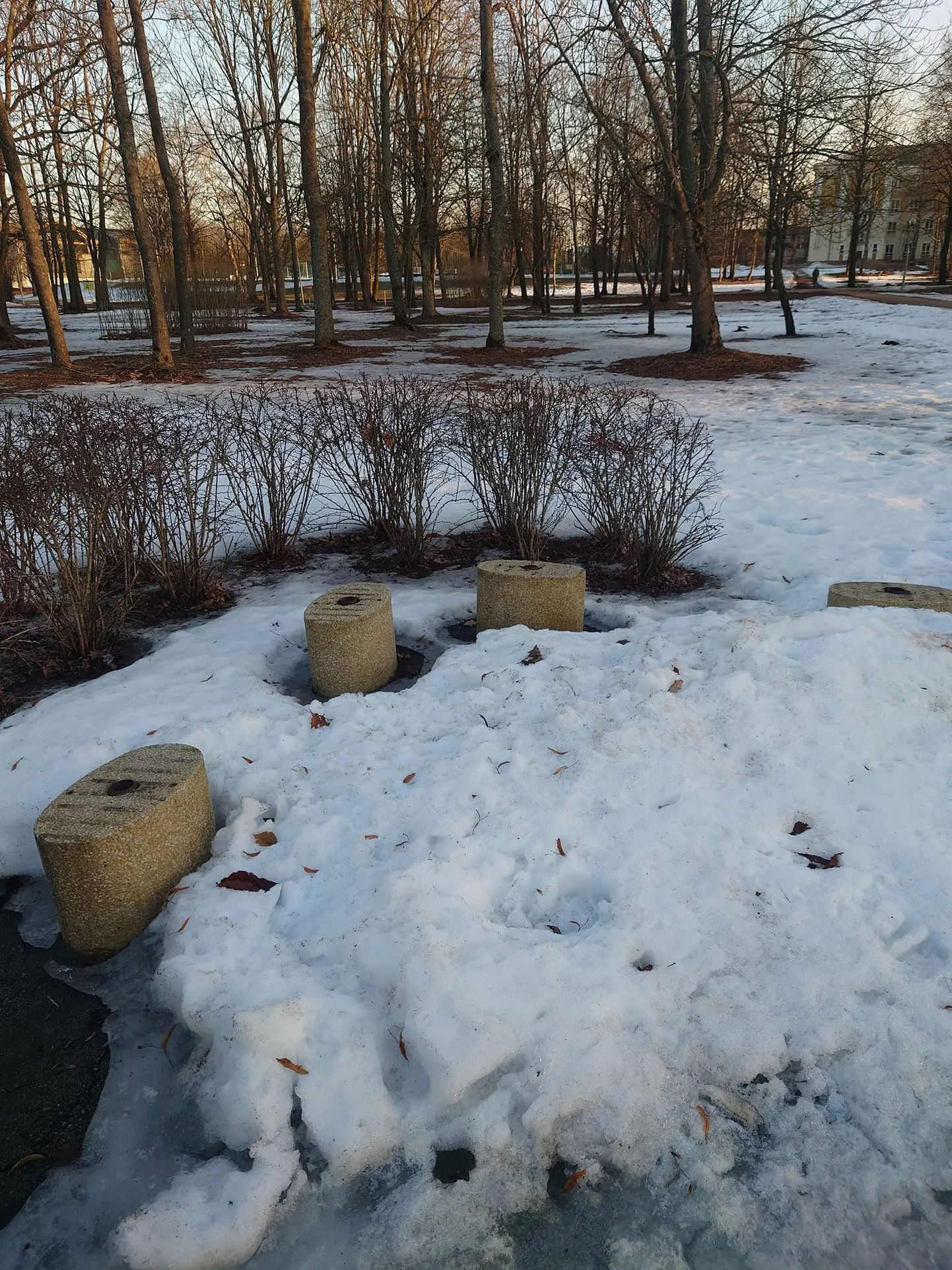 Такая картина в городском парке взволновала жителей, но скоро скамейки восстановят.
