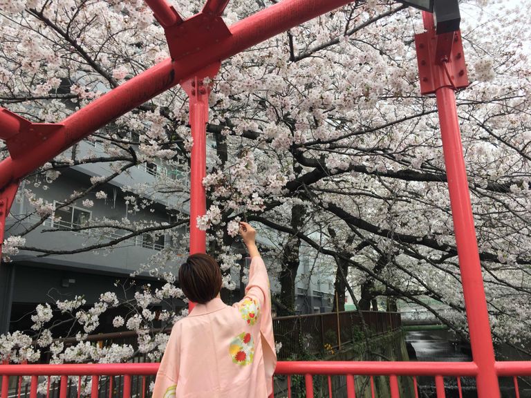 Traditsioonilises Jaapani kimonos naine seismas Meguro jõe ääres Tokyos keset õitsevaid kirsipuid 28. märtsil 2020.