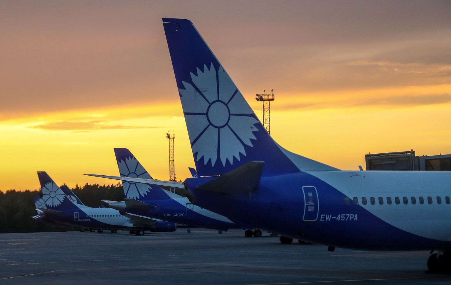Самолеты "Белавиа" в аэропорту Минска.