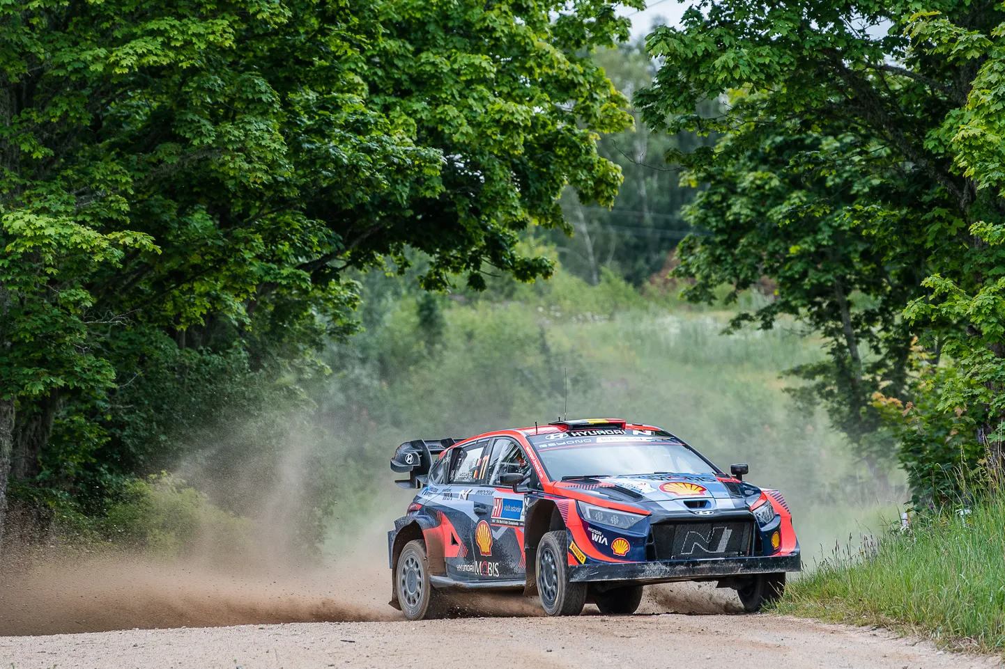 Pasaules rallija čempionāta (WRC) posms. Ilustratīvs attēls.
