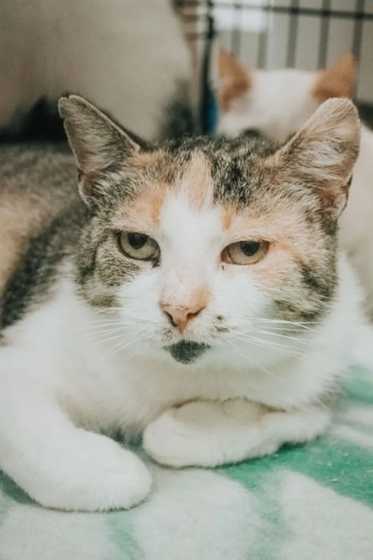Keiko.