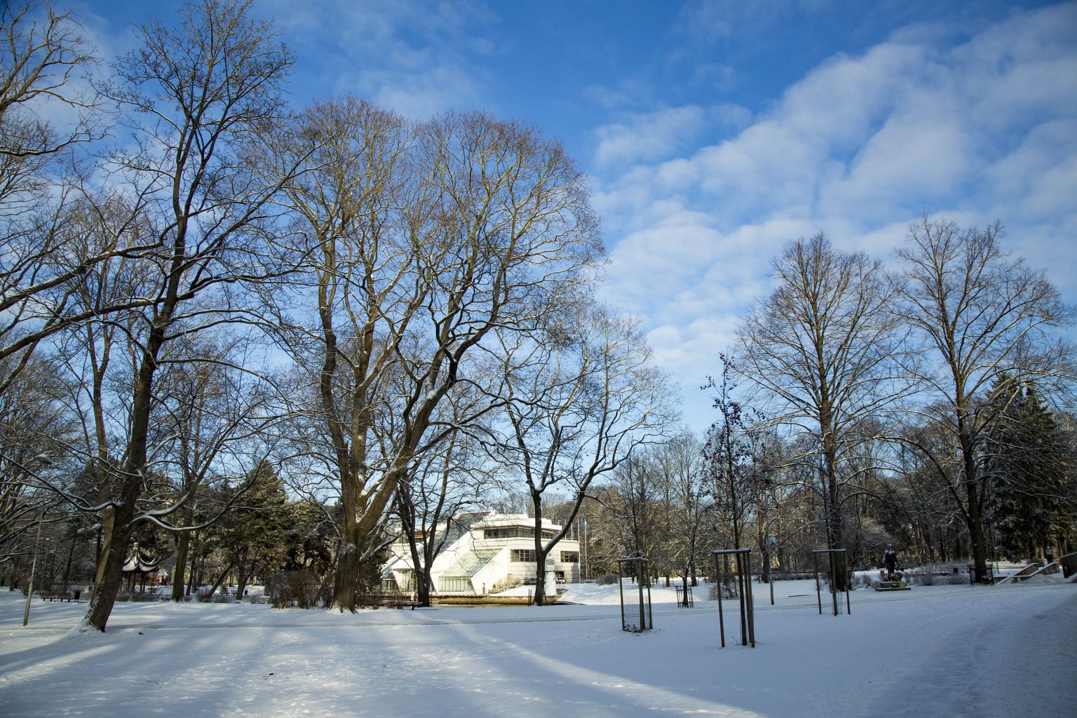Kronvalda parks ziemā.