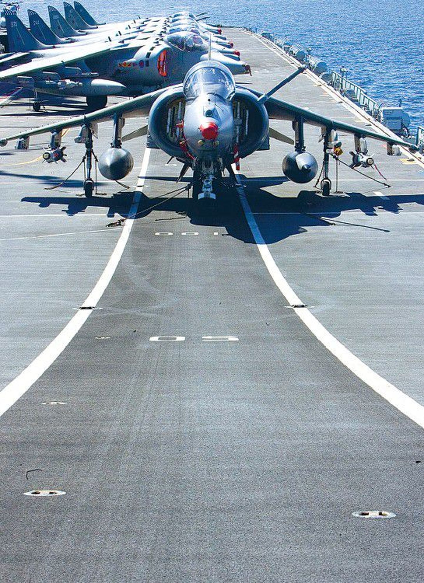 Laeva pidulikuks sadamasse sisenemiseks olid ka Harrieri hävitajad sirgesse ritta seatud.
