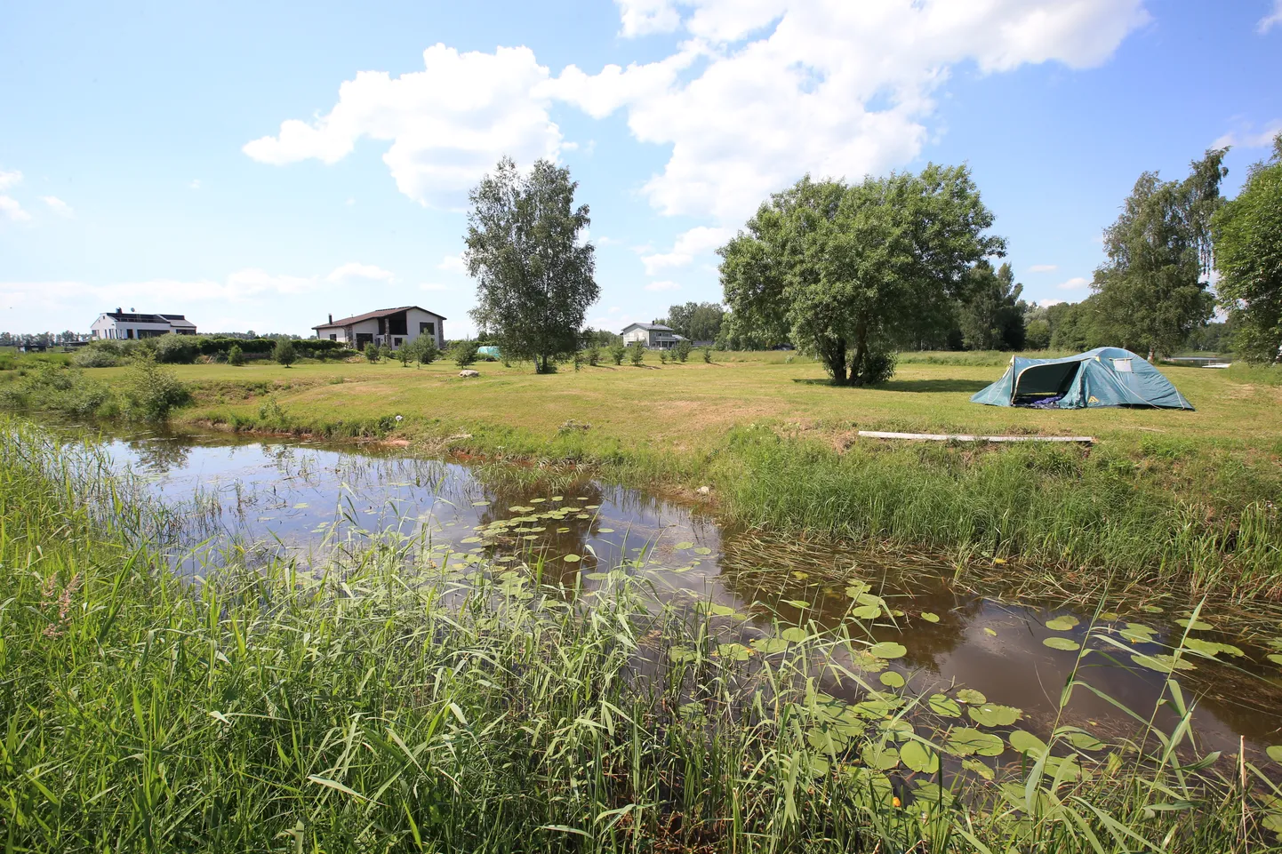 Vorbusel takistab Emajõe kallasrajal liikumist Ööbiku 10 kõrval jõkke suubuv kanal.