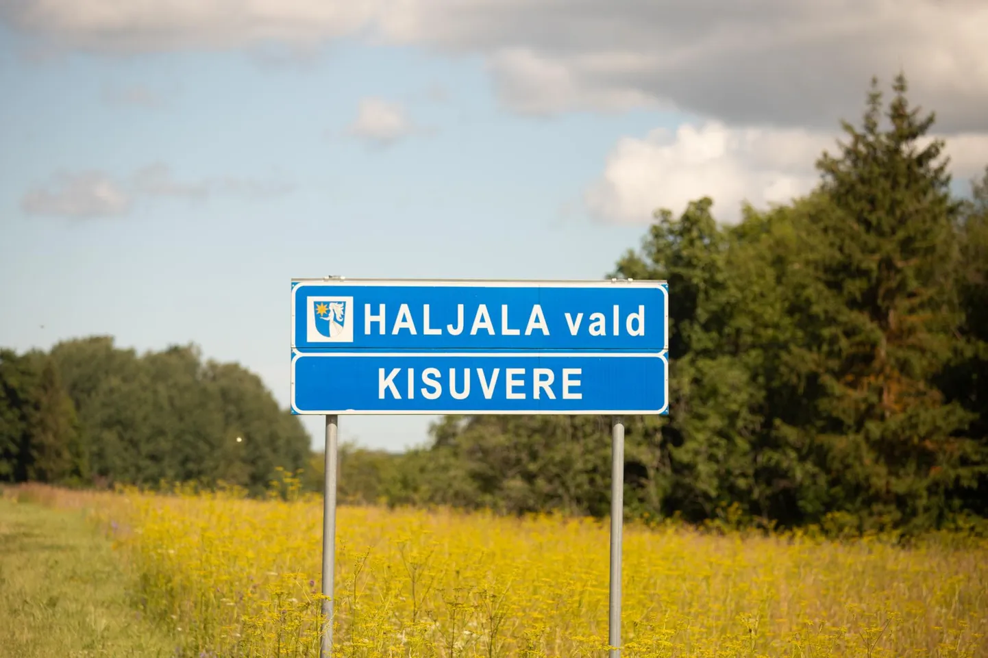 Haljala vald muudab sotsiaalpindade jagamise poliitikat ja valmistub ...