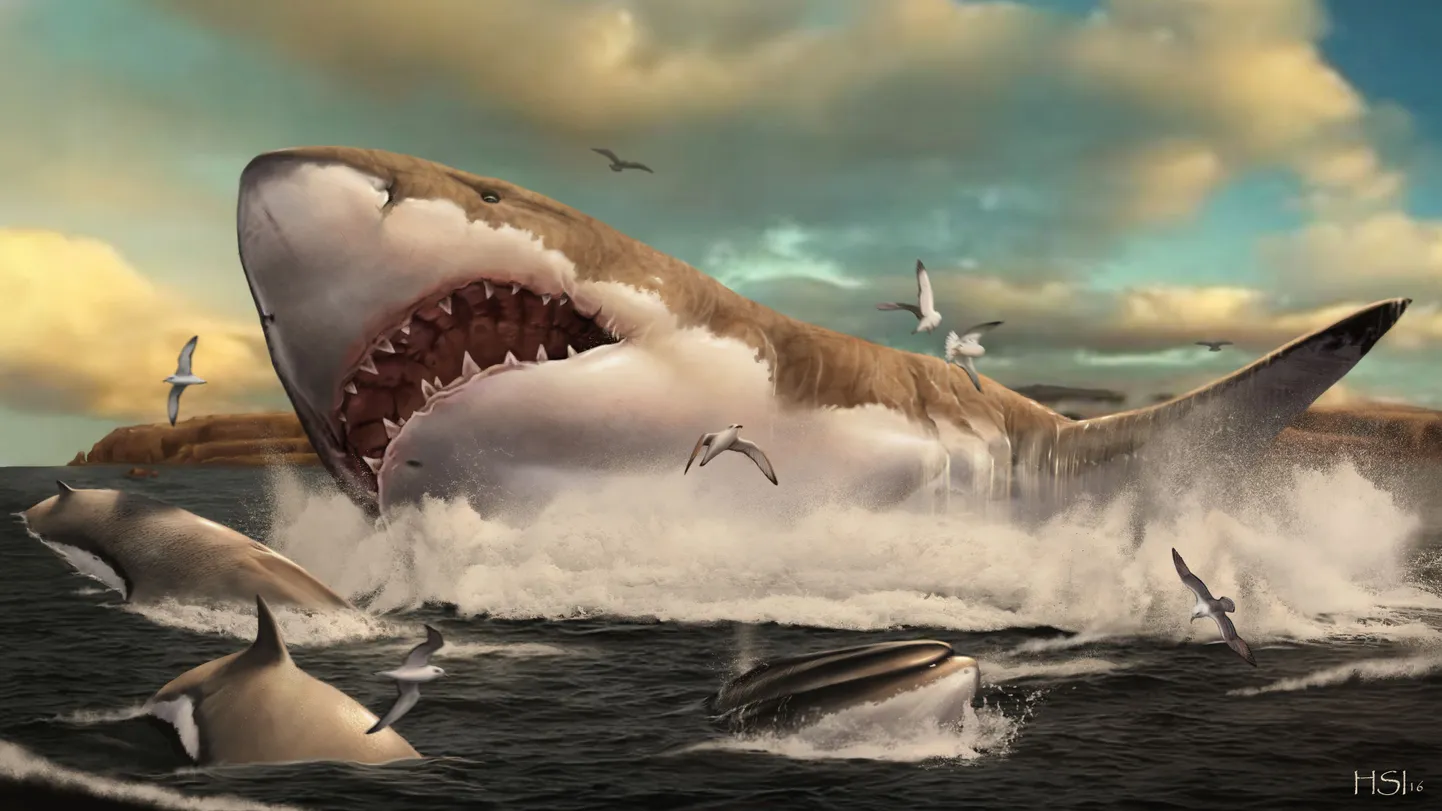 Megalodons mākslinieka interpretācijā