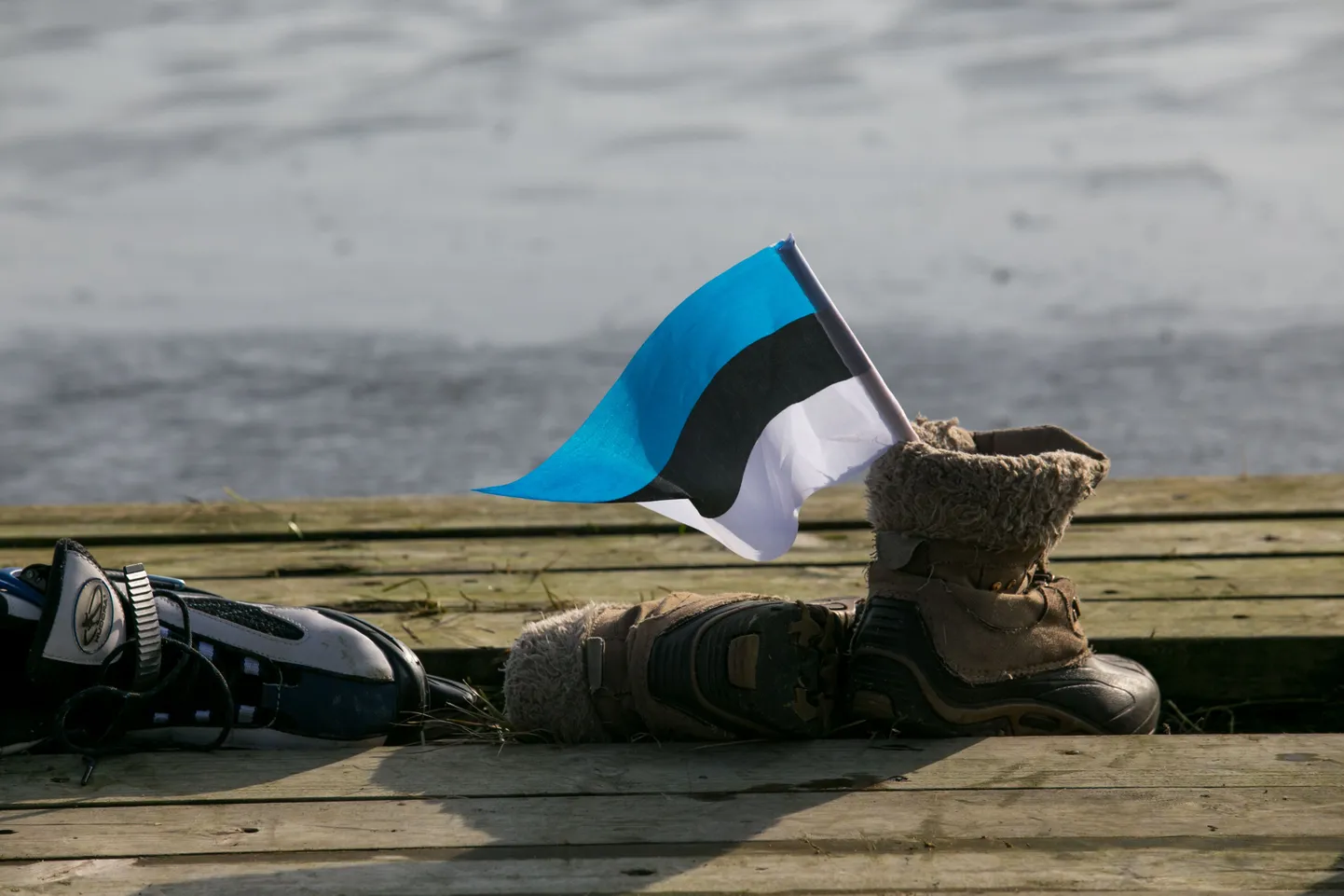 Eesti lipp