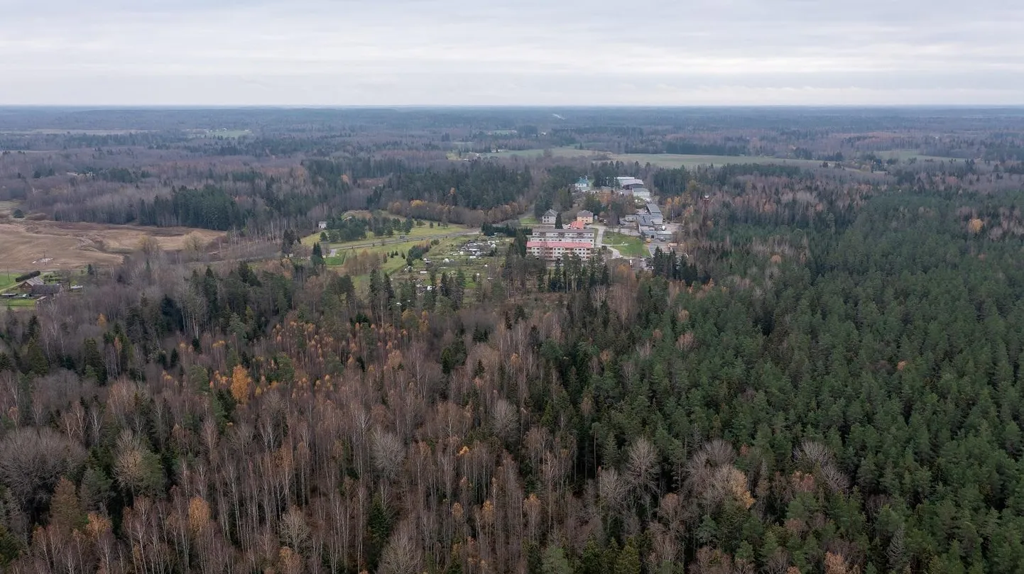 Puit on kliimasõbralik alternatiiv teistele ehitusmaterjalidele.