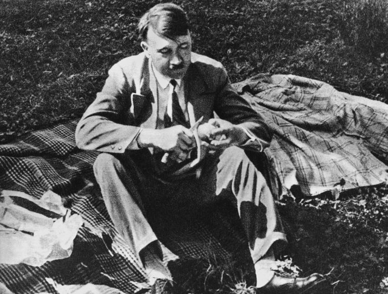 Adolf Hitler piknikul