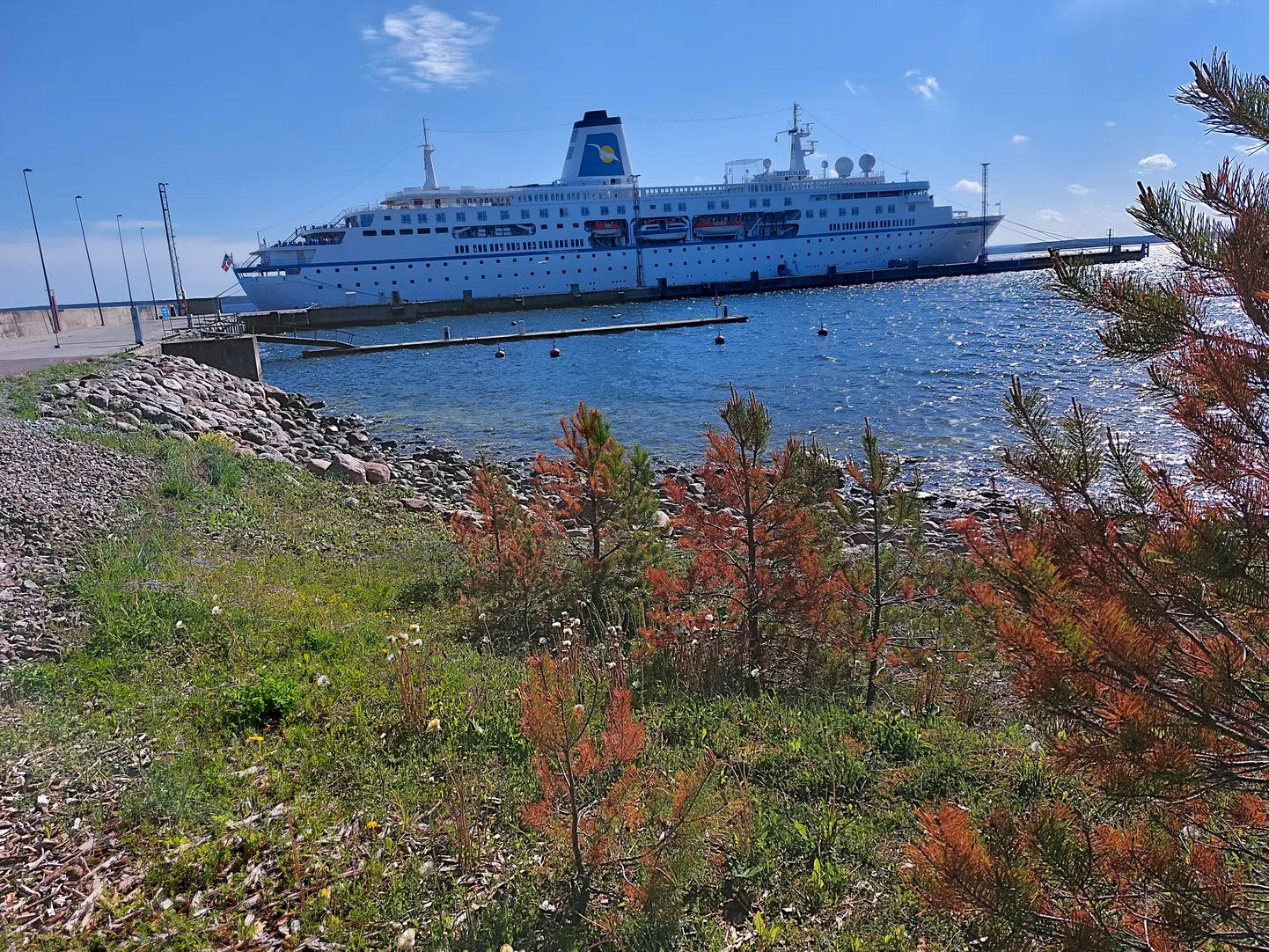 Selle aasta esimene kruiisilaev tõi Saaremaale 263 turisti.