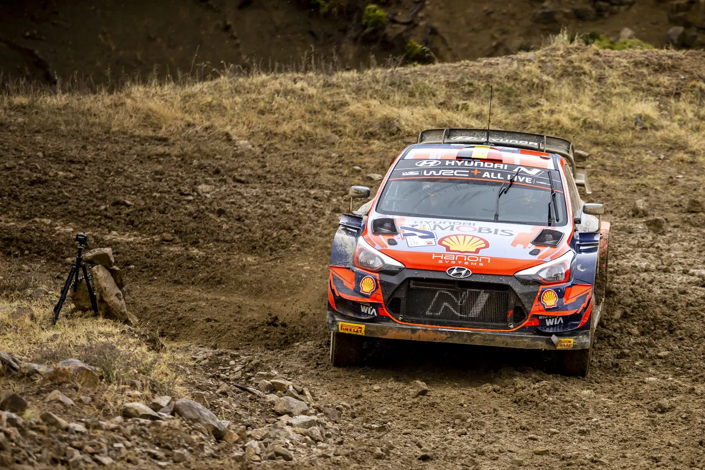 Thierry Neuville.