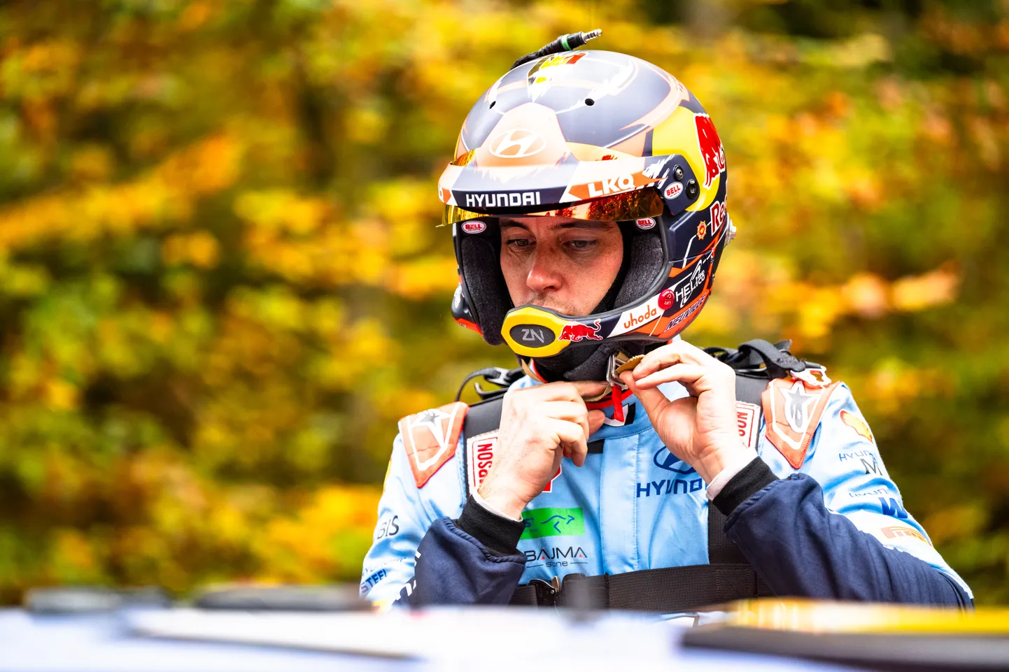 Thierry Neuville soovib, et hübriid jääks alles.