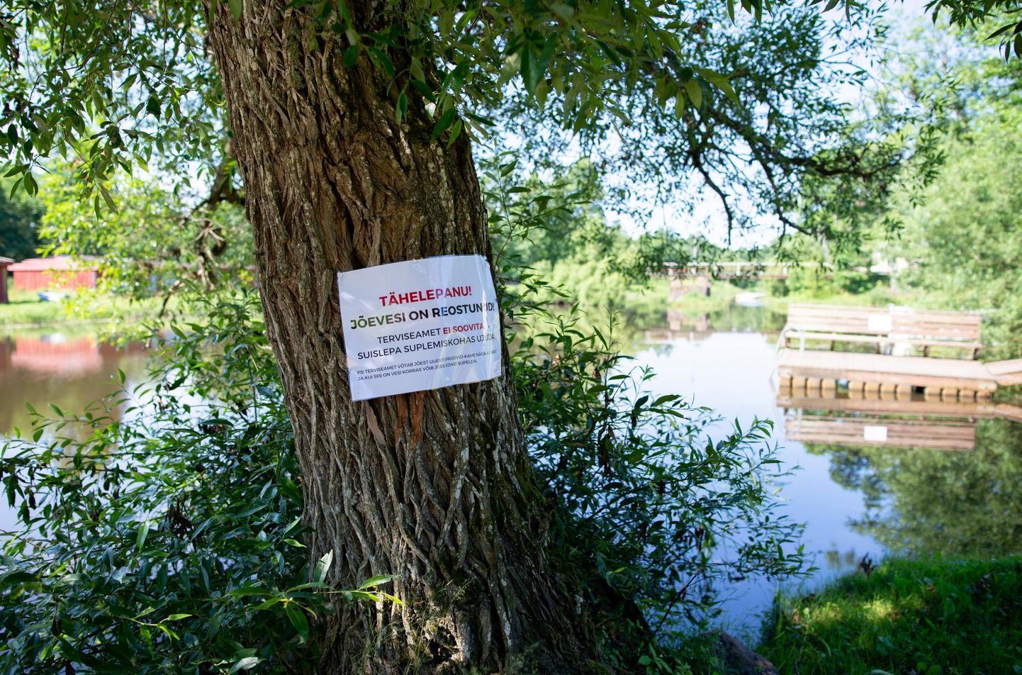 Terviseamet Õhne jõe vees ujuda ei soovita ning Viljandi vallavalitsus on ujumiskohta üles pannud sellekohase teate.