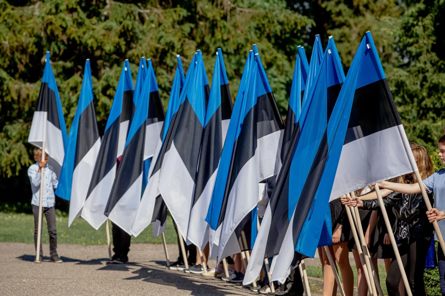 Lipurivistus Eesti lipu 135. aastapäeval Sindis.