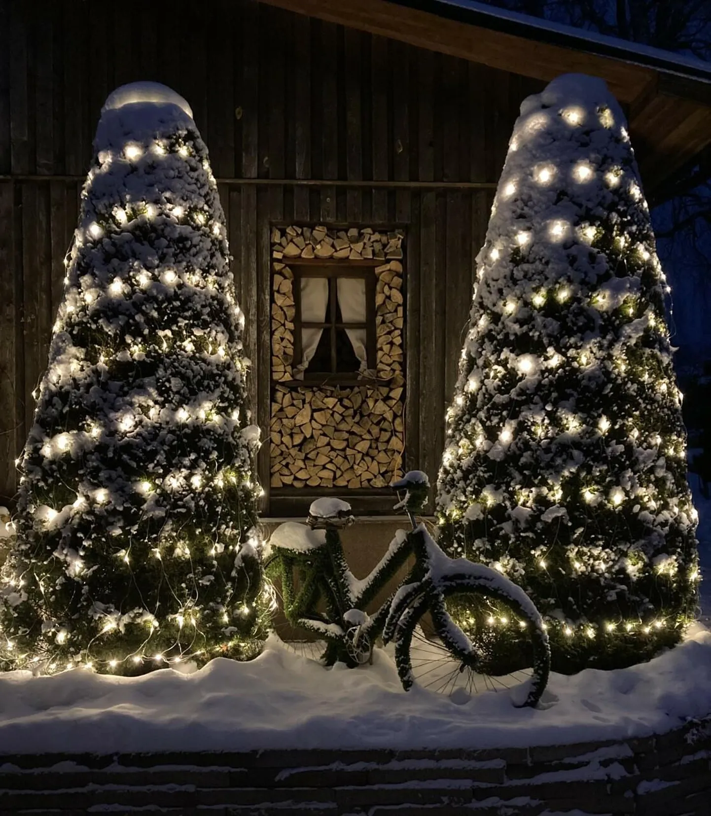 Jõulutuledesse keeratud elupuud.