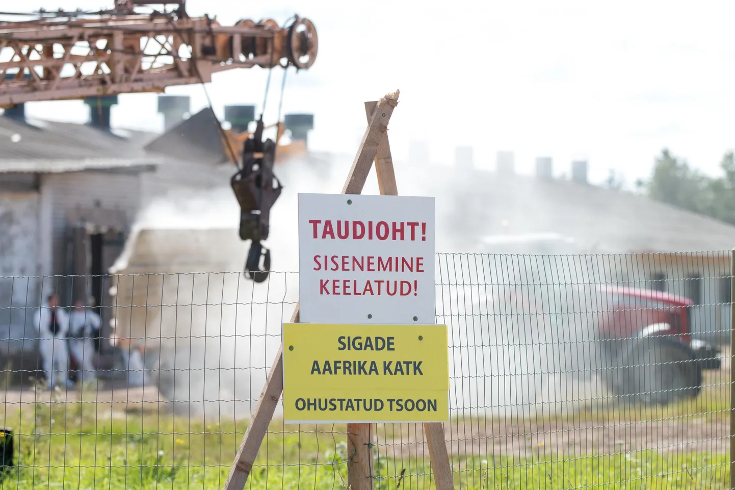 Seakasvatajadki hakkasid tasapisi unustama 2015. aastal alanud ja kaks aastat kestnud suurt seakatkupuhangut, mis võttis toona kümneid tuhandeid kodusigu.