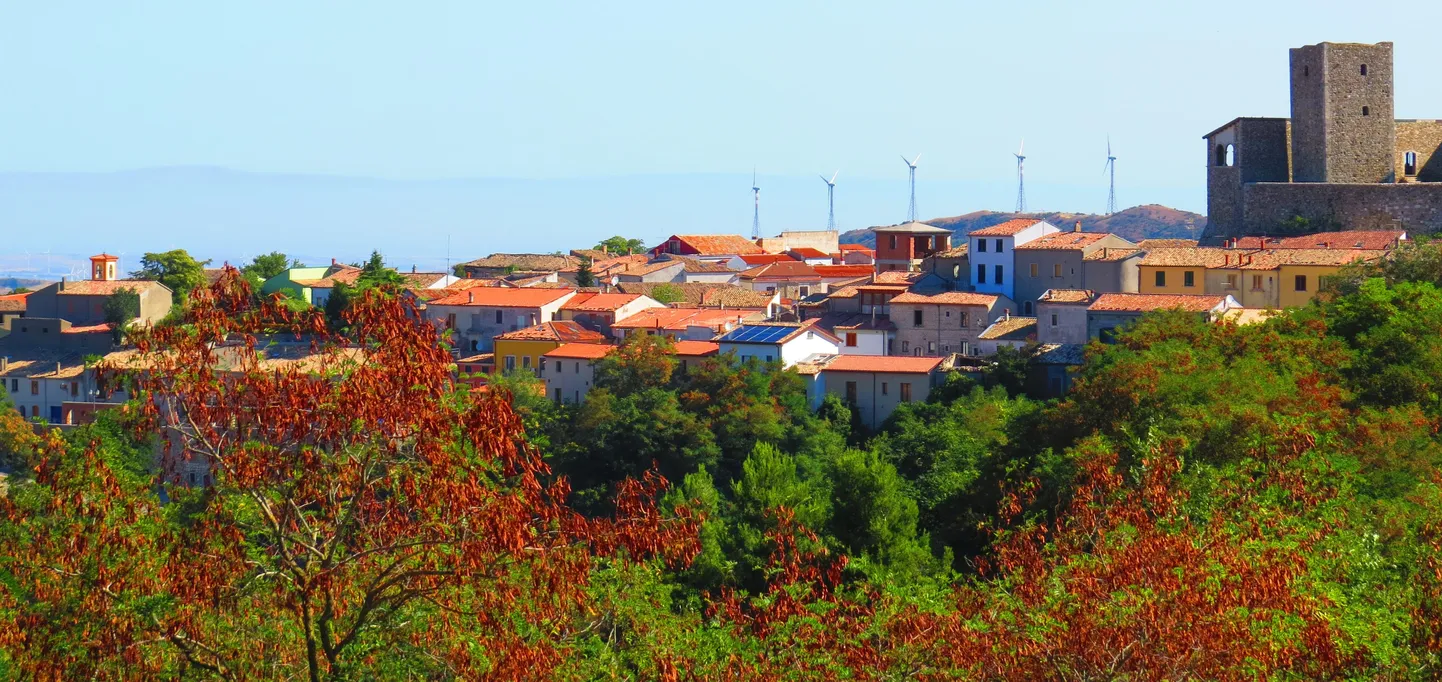Raksta foto