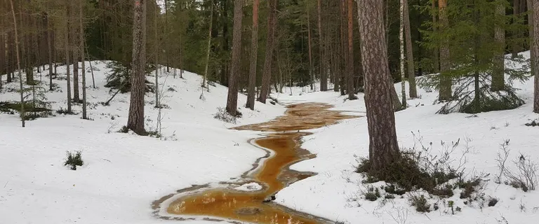 Uljaste matkaraja oja talvel.
