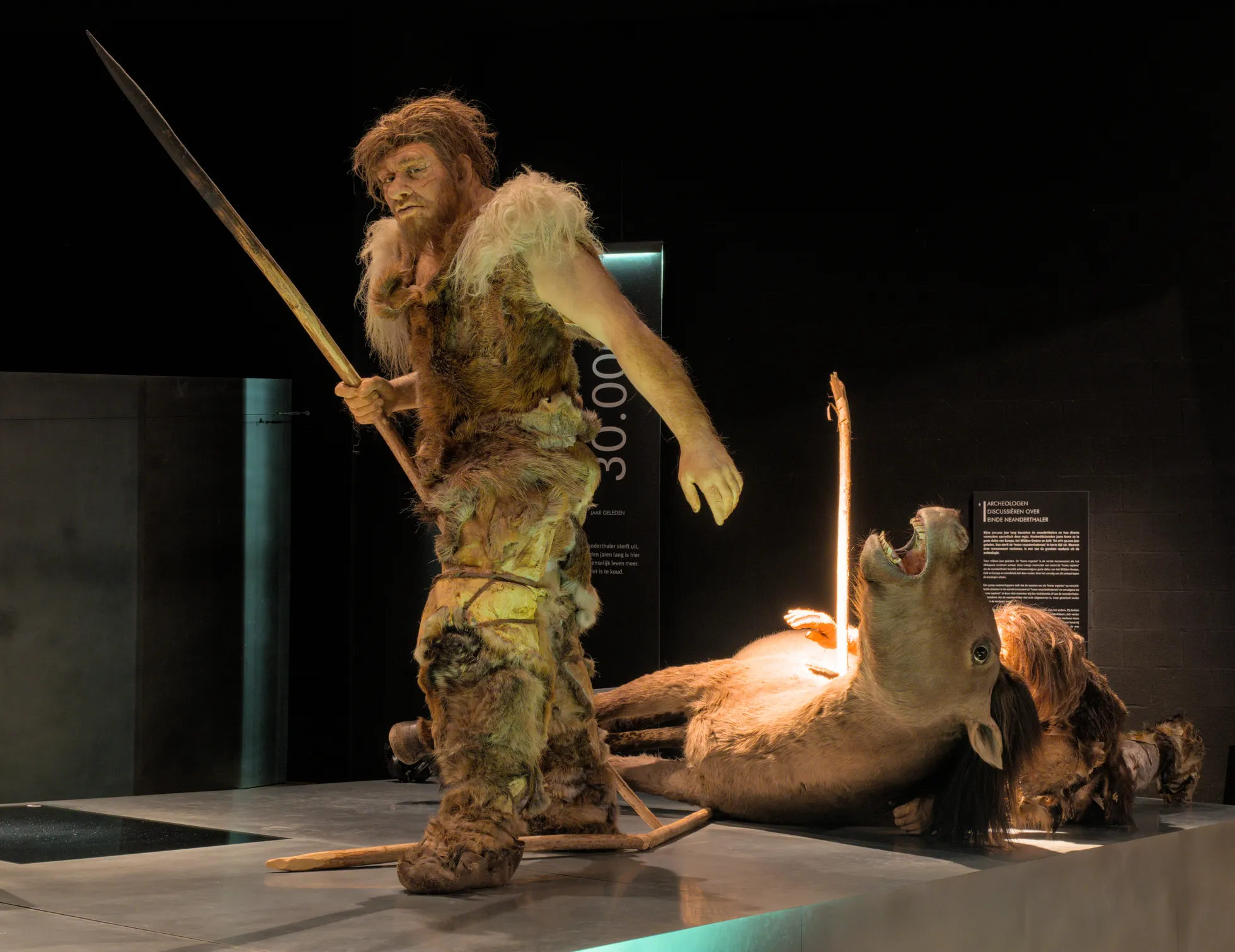 «Muinas-õismäelane (Homo neanderthalensis) taltsutamas metsikut hobust», 2020, koloreeritud