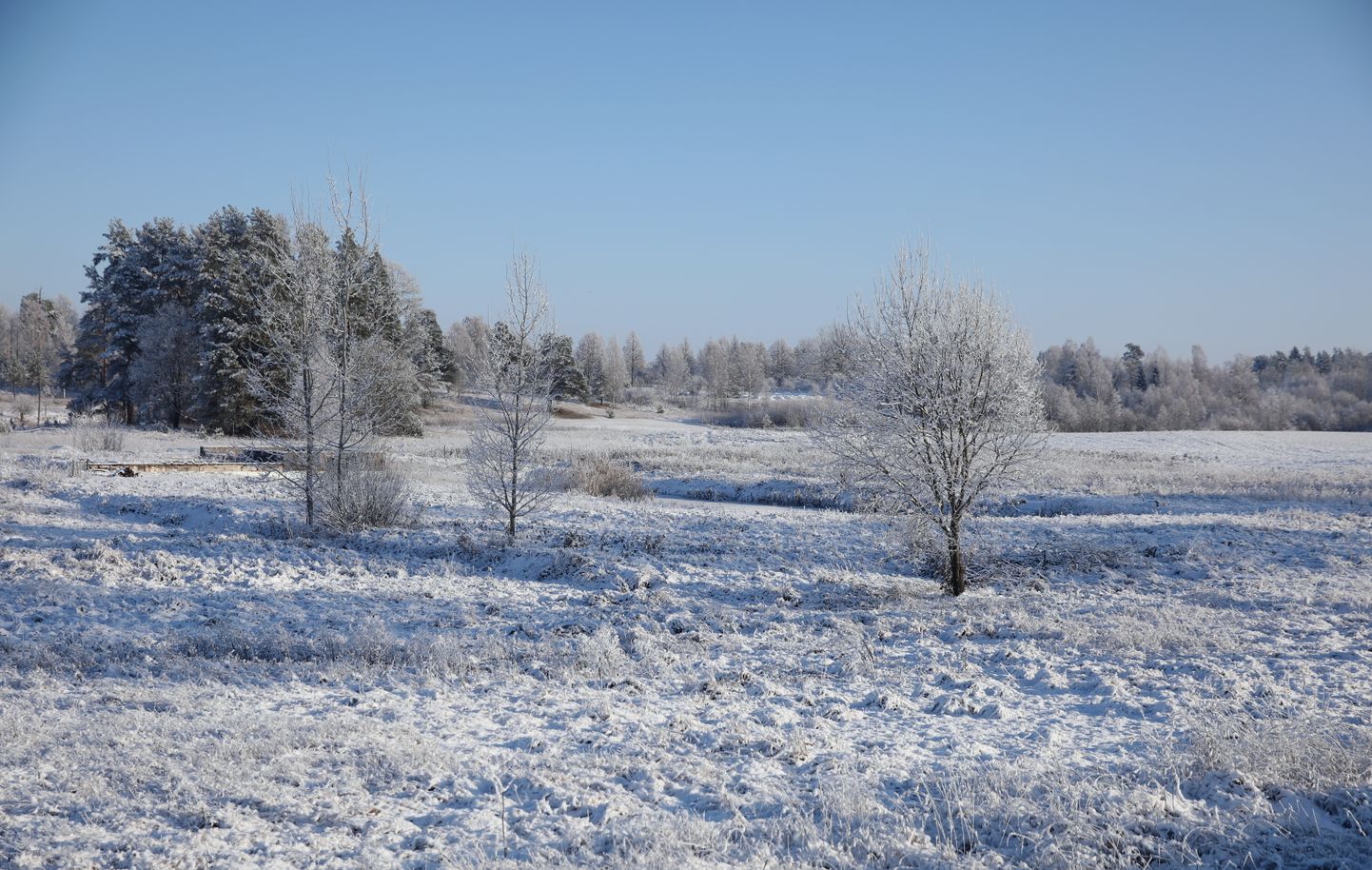 Lauku ainava ziemā.