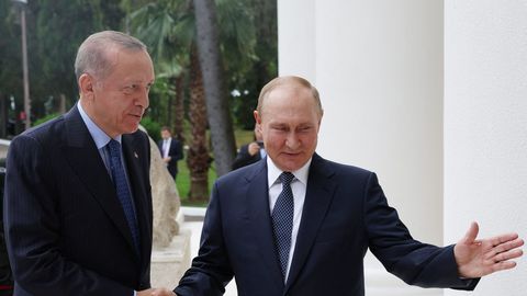 Эрдоган: Турция будет платить за российский газ в рублях