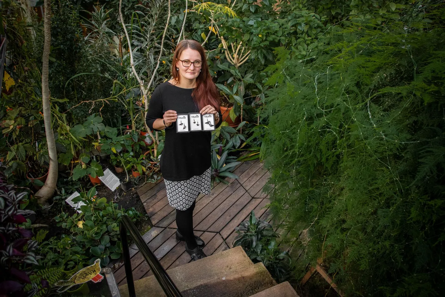 Kati Kekkonen töötab Tartu loodusmajas külastusspetsialisti ja juhendajana. Väikestviisi hariduslikku tööd teeb ta ka oma kõrvarõngastega.