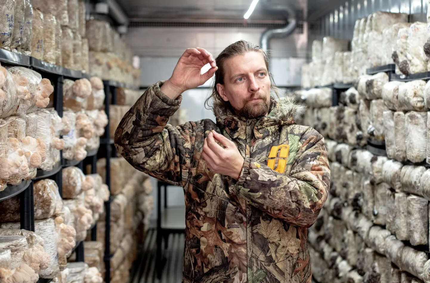 Tanel Heinsalu seenekasvatus paisus nii suureks, et ta kolis näidisfarmi kodu juurest Üdruma külast Kullamaale suurematesse ruumidesse.
