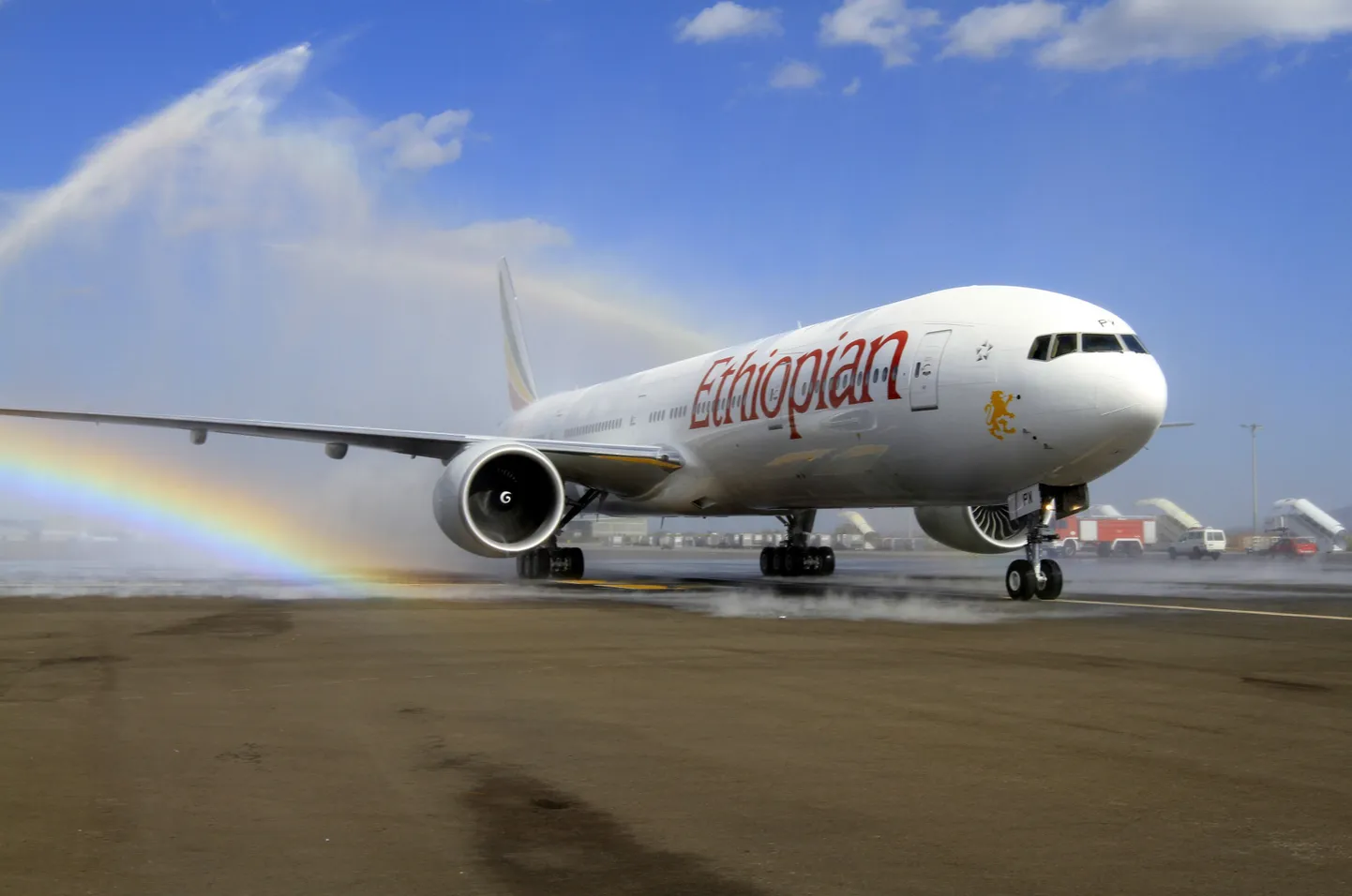 Авиалайнер компании Ethiopian Airlines