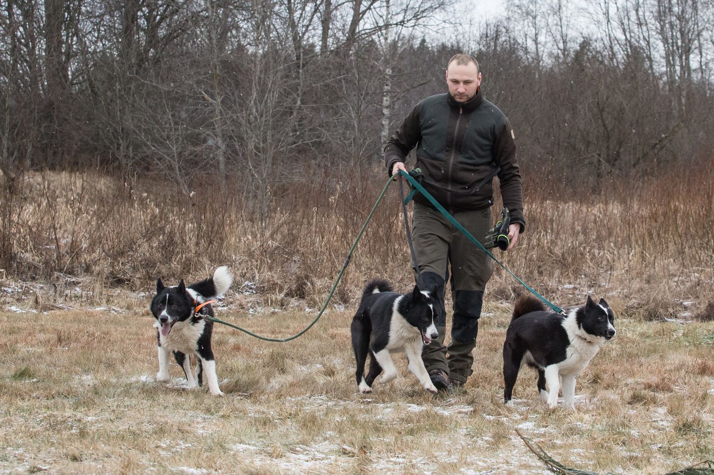 "Koduaias ja rihma otsas koer ei õpi," käib Rasmus Rooden oma koertega palju metsas.