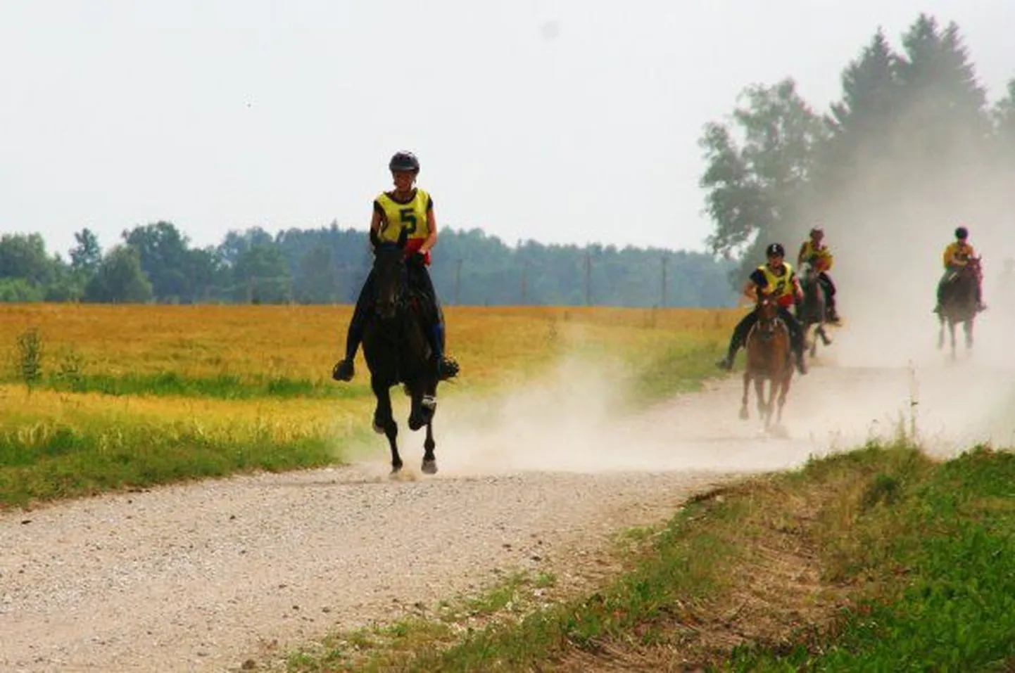 Kestvusratsutamise juunioride Eesti meistrivõistluste finišisirge.