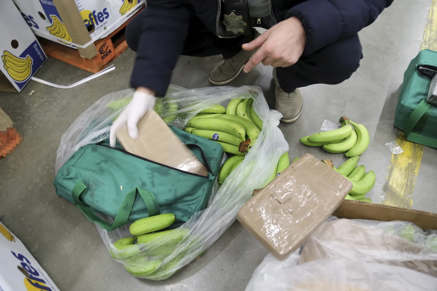 Banaanilaadungist avastatud kokaiin. Pilt on illustreeriv.