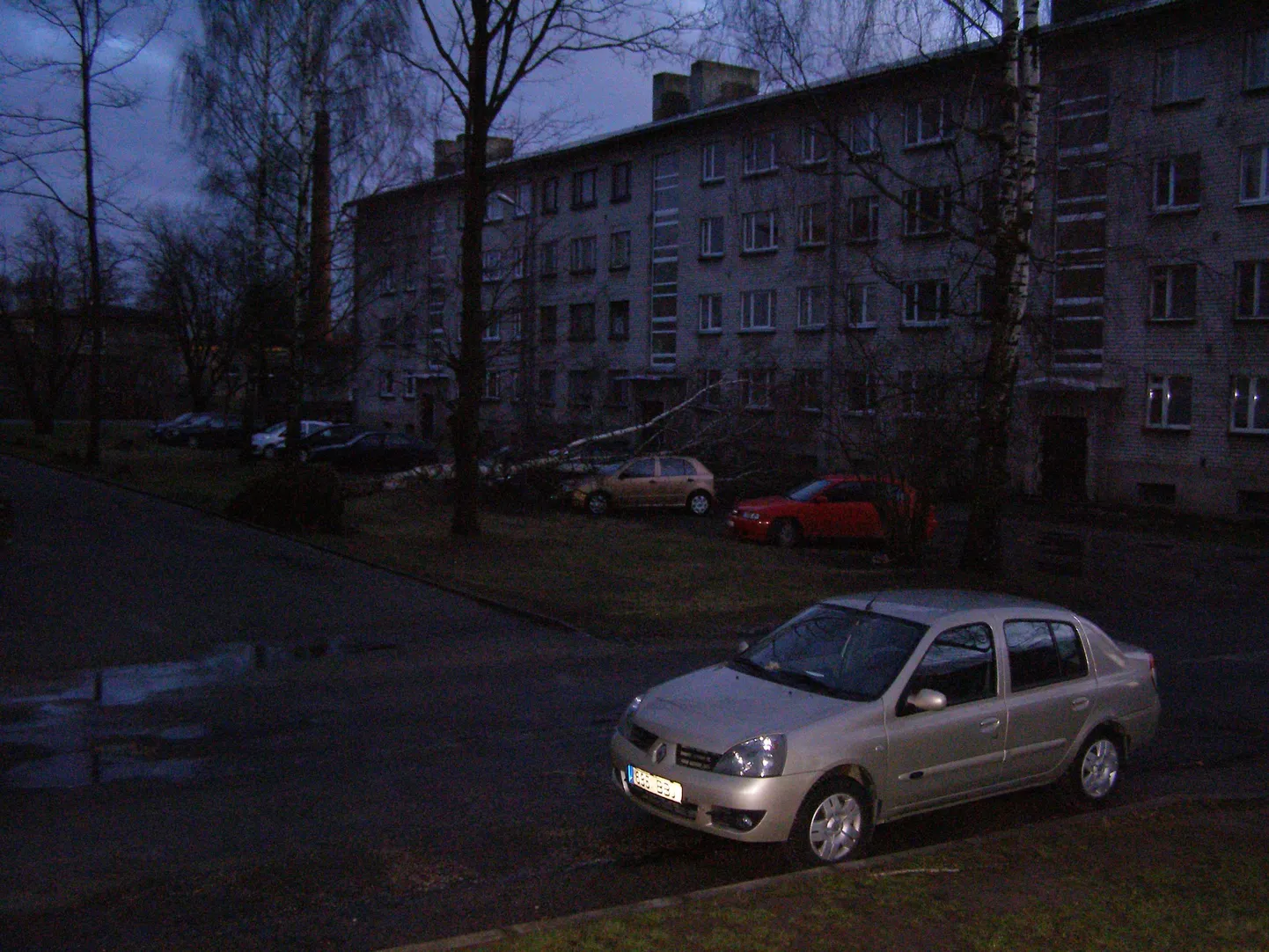 Põhja puiesteel vajus puu autodele peale.
