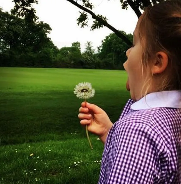 Harper Beckham