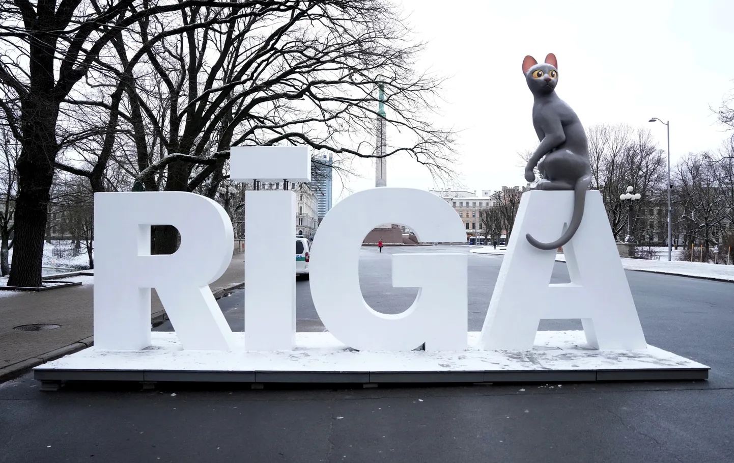 Фото статьи