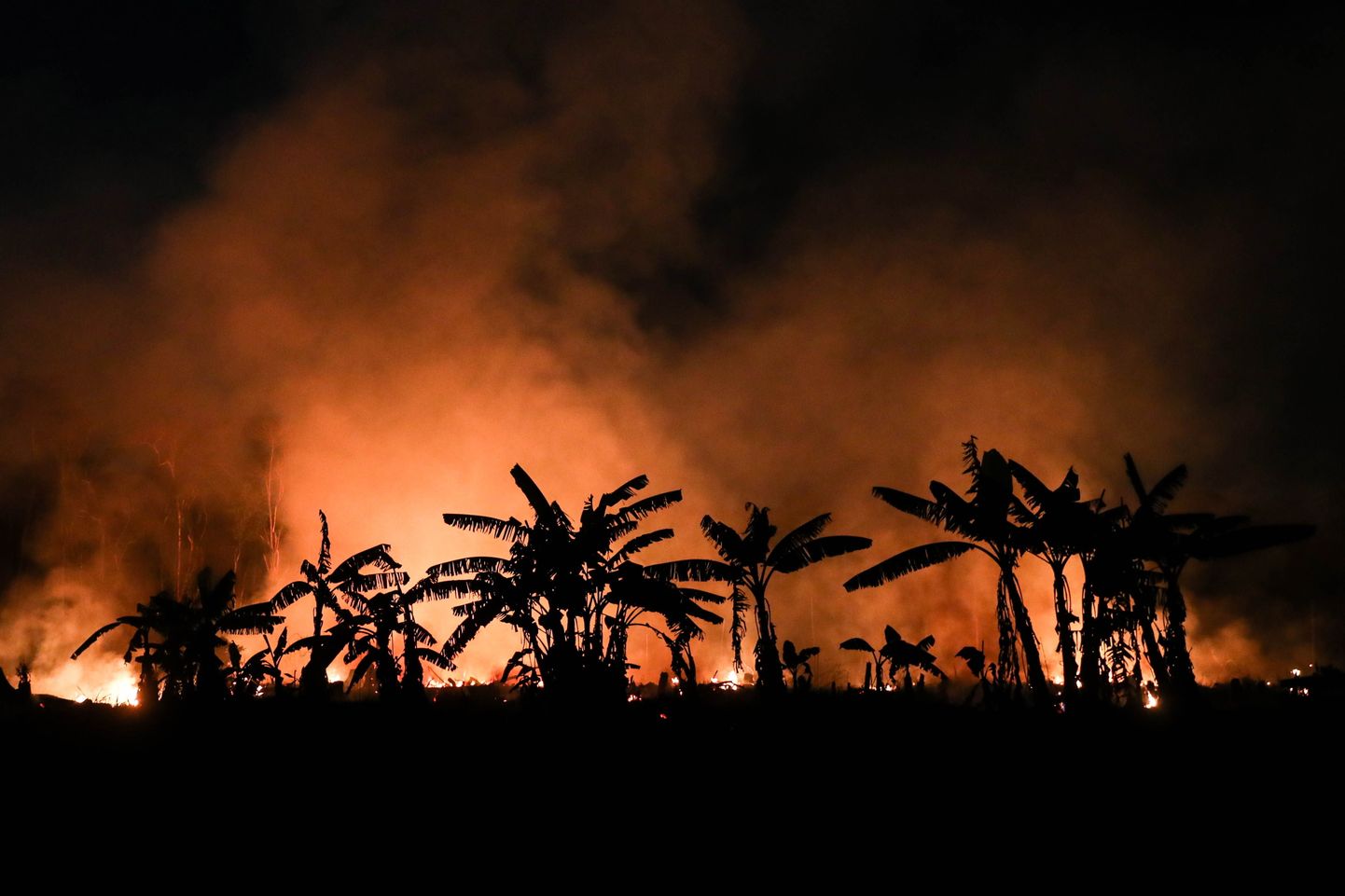 Esmaspäevast 9. septembrist pärinev foto metsapõlengust Brasiilias Porto Velho osariigis.
