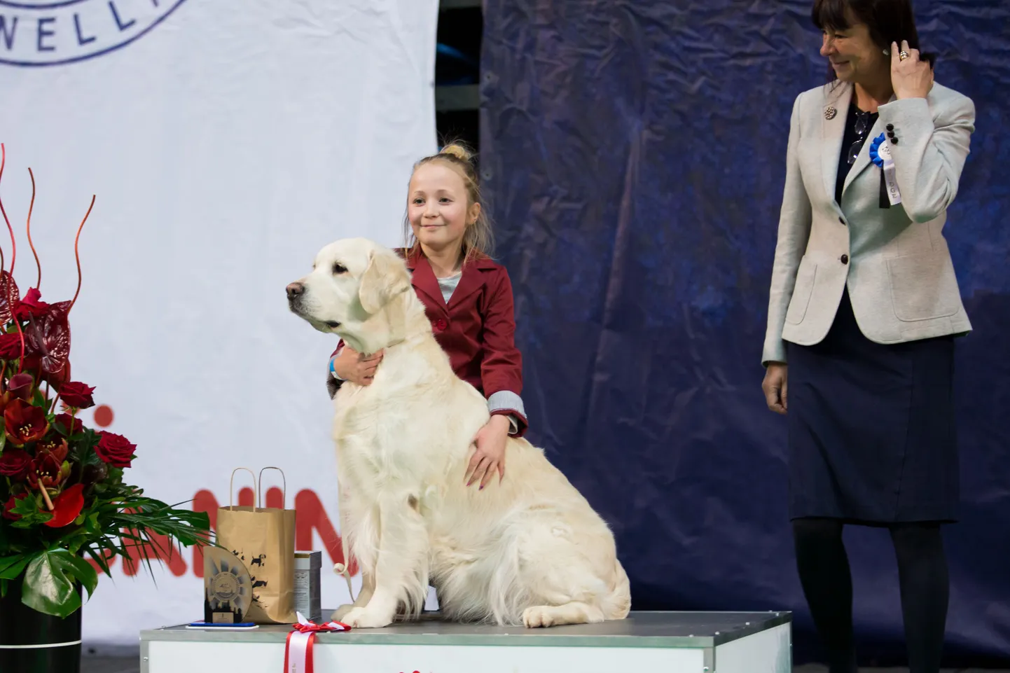Rahvusvaheline koertenäitus «Tallinn võitja 2017» Saku Suurhallis. 
FOTO: JAANUS LENSMENT/POSTIMEES