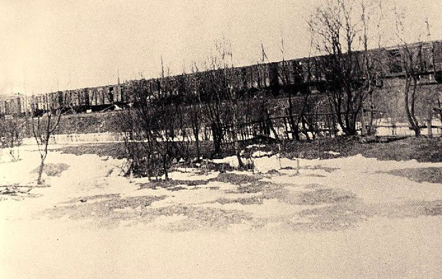 Тысячи вагонов с людьми: в период мартовской депортации в Сибирь было отправлено 1057 вагонов с людьми. Этот состав запечатлел на фото Густав Кульп 25 марта 1949 года в Кейла.